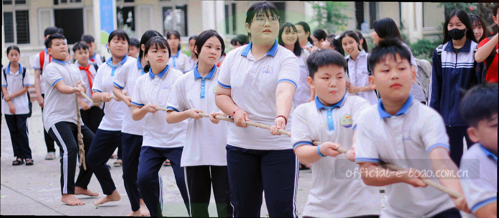 球场边线规则形成的抽象几何图形，深蓝底配荧光青线条